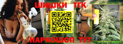 индика Дубна