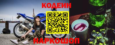 индика Дубна